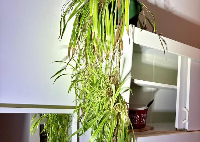 Balkonwohnung Neben Mol-bio Appartement