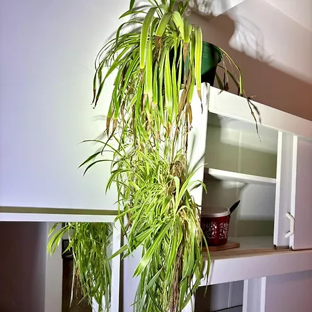 Balkonwohnung Neben Mol-bio Апартаменты